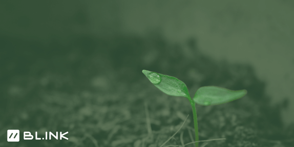 Let's Grow Together
