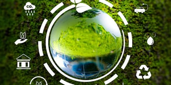 Food production transparency with GS1 Digital Link and BL.INK