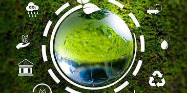 Food production transparency with GS1 Digital Link and BL.INK