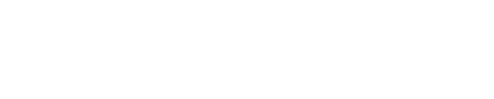 blink-logo-white