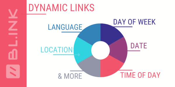 Dynamic-Link-Variables-1-600x300 Dynamic-Link-Variables-1-600x300